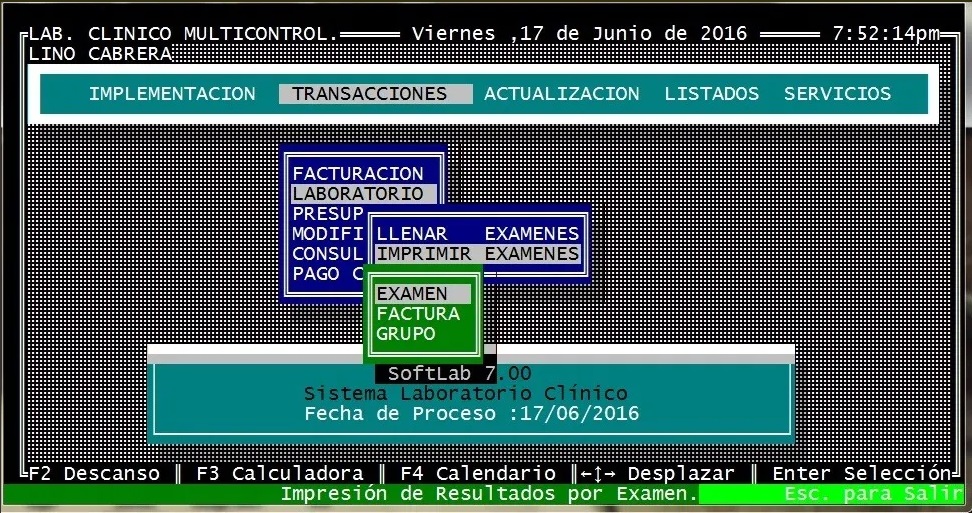 Puede ingresar resultados por Examen, Orden o Grupo